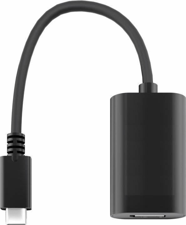 Adaptador USB 3.1 (Tipo C) a Displayport Tipo C