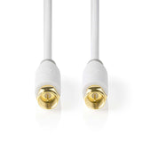 Cable de Satélite y Antena | F Macho - 2,0 m Blanco