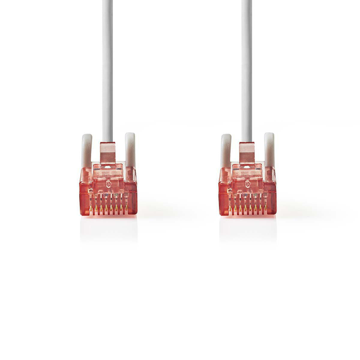 Cable de Red Cat6 UTP | Rj45 Macho - 0,30 m Gris