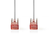 Cable de Red Cat6 UTP | Rj45 Macho - 0,30 m Gris