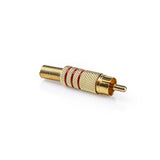 Conector RCA | Macho - 10 Unidades Rojo