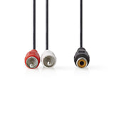 Cable Para Subwoofer | 2x RCA Macho - Hembra 0,2 m Negro